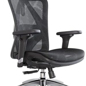 Ergonomic Office Chair, Computer Chair Desk Chair High Back Chair Breathable, Skin-Friendly Mesh Chair Adjustable 3D Armrest and Lumbar Support (Black)