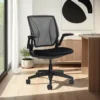 Diffrient World Chair