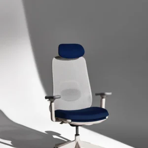 VOYA Ergonomic Chair